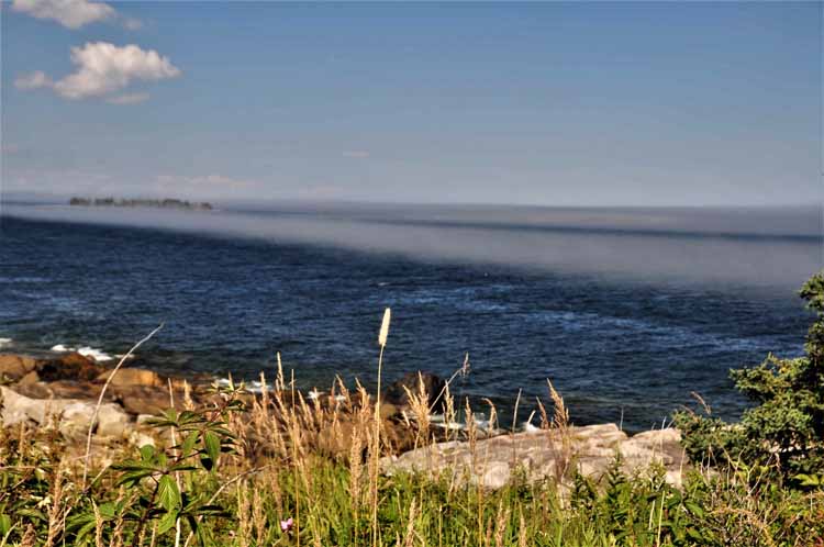 fog rolling in